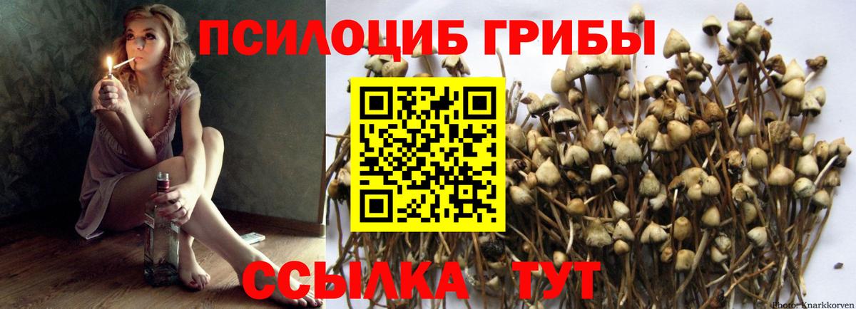 Псилоцибиновые грибы мухоморы  Вход с VPN  Заринск 